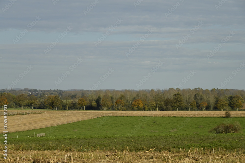 Fototapeta premium Vastes prairies et bois en automne sous le soleil du matin à Ghislenghien (Ath)