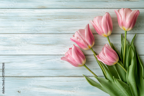 A cluster of  soft pink tulips with bright green leaves lies diagonally across a background of weathered, light color wooden planks, providing copy space.