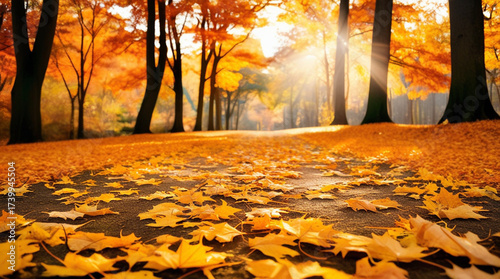 Autumn forest path background, golden leaves covering ground, trees with orange foliage, depth of field blur