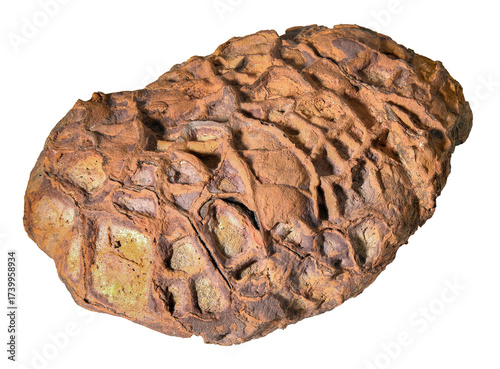 Septarian Nodule. Geology. Fosil rock. on transparent background
