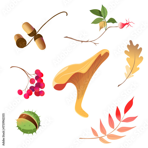 Autumn stickers isolated on white background: mushroom, leaves, chestnut, rose hips, acorn and rowan.