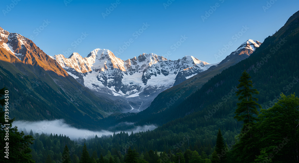 Fototapeta premium Snowy Mountain Peaks Above Forest Valley View