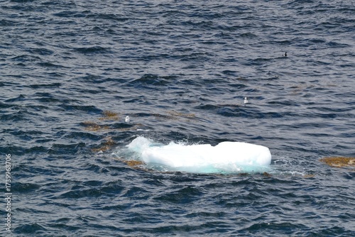 An iceberg chunk floating in the north Atlantic off the coast of Newfoundland