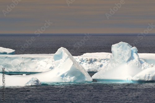 Cluster of Icebergs off the coast of Newfoundland