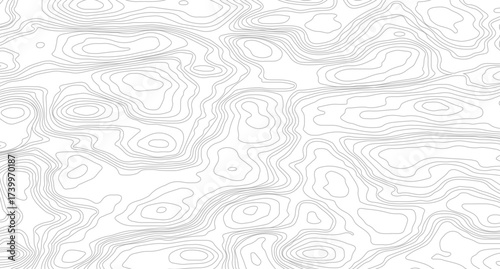 Topographic map contour background pattern. Natural printing illustrations of maps. Grey topographic lines. Texture of lines. pattern shape in organic wood on white and transparent background.