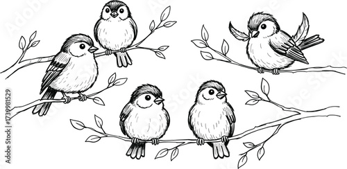 Black and white illustration of five perched birds on leafy branches with fine line details for nature design and educational use