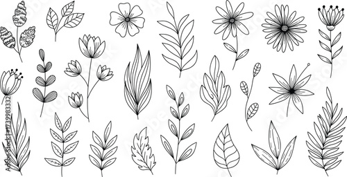 Black and white botanical illustration with 25 unique hand drawn flowers and leaves for coloring book, design, and educational use