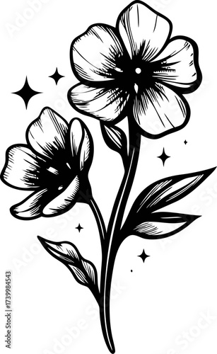 Hand drawn black ink wildflower illustration with two blooming flowers and sparkling decorative accents