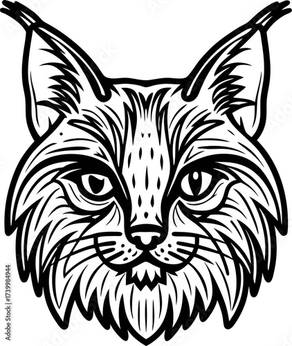 Detailed black and white engraved drawing of a lynx head front view with expressive eyes and prominent ear tufts