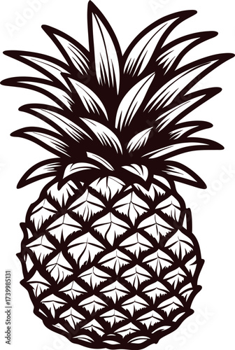 Vintage hand drawn pineapple illustration in black and white, detailed botanical sketch of tropical fruit with spiked leaves