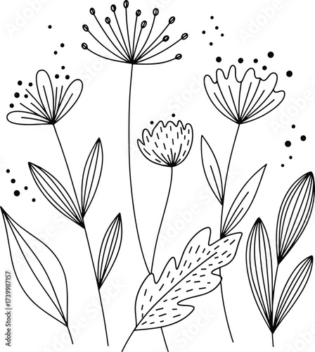 Minimal black and white botanical illustration with stylized flower stems, elongated leaves and dotted accents for coloring book and design