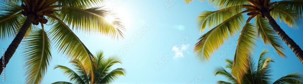 Naklejka premium Many palm trees that are standing in the sun