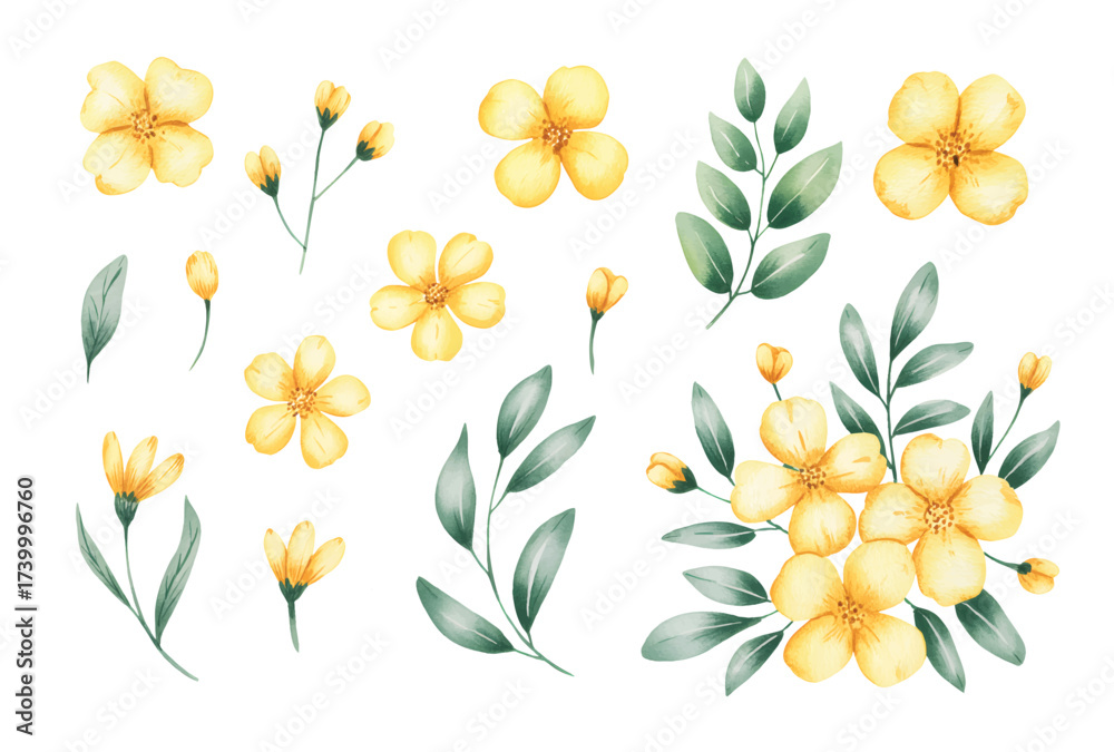 Obraz premium Yellow wildflower blossoms with green leaves isolated on white. 