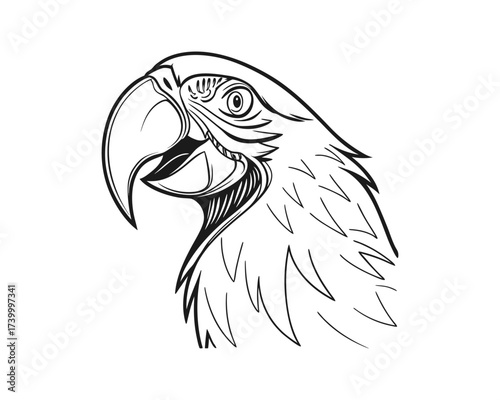 A black and white line drawing captures the profile of a parrot's head, showing its distinctive beak and feathered neck.