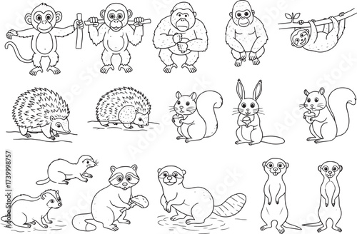 Doodle wild animal set vector illustration hand drawn monkey gorilla sloth hedgehog squirrel meerkat
