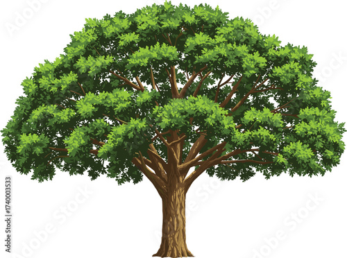 Beautiful vector illustration of large green tree with spreading branches and dense foliage for nature and landscape design