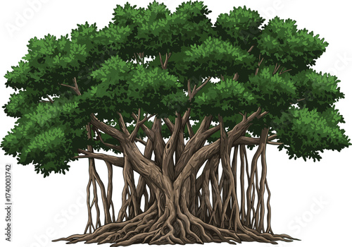 Detailed illustration of large banyan tree with multiple trunks, aerial roots and dense green foliage for vector design