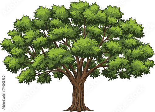 Illustration of big green tree with wide branches and dense leafy crown growing naturally in forest or park