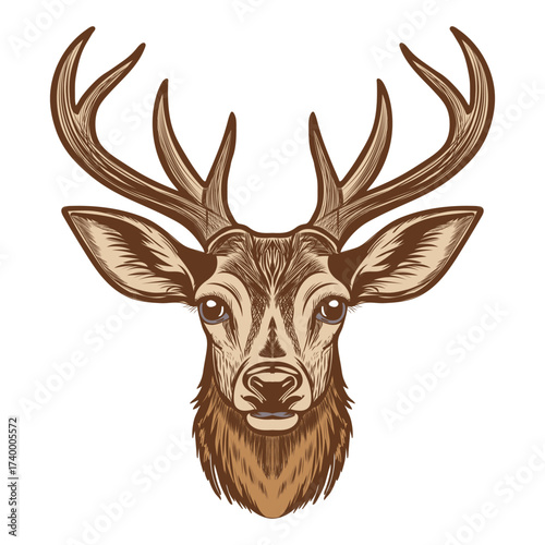 Realistic Brown Deer Head Vector Design, Wildlife Hunting Illustration