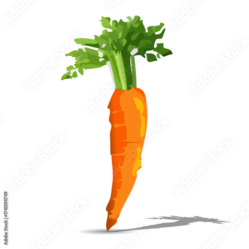 Carrot | Carrot Vector | Carrot Paint