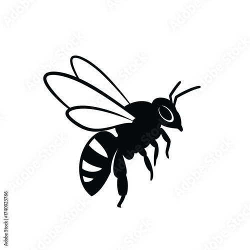 Black bee flying on white background insect
