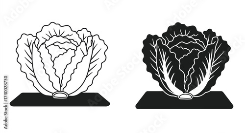 Two contrasting cabbage heads one light and one dark on stands