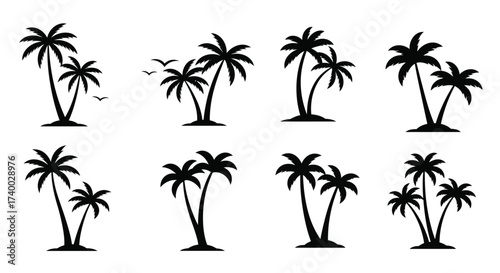 A collection of black silhouette palm trees and flying birds shown clearly