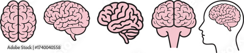 brain icon set,pink glowy humain brain icon neuro icon isolate white brackground