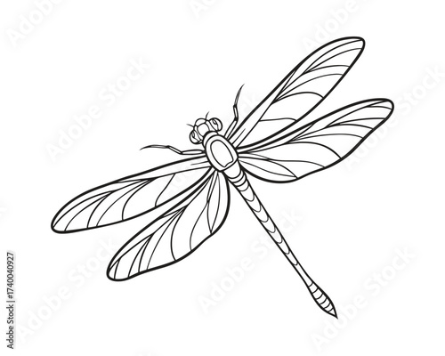 Detailed Dragonfly Line Art Illustration Perfect for Coloring Pages and Insect Studies with Graceful Wings and Intricate Detail