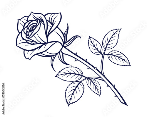Elegant Line Art of a Blooming Rose with Thorns and Leaves Botanical Illustration