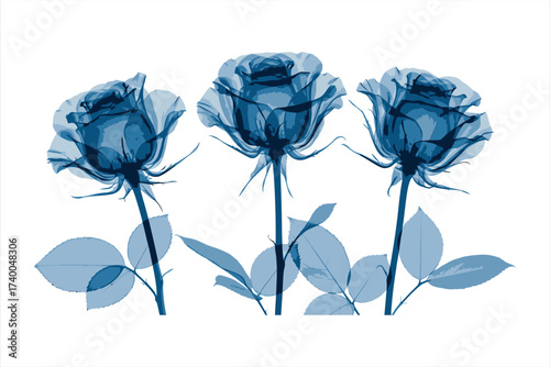 Three blue translucent roses with leaves on white background flower floral
