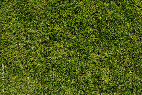 A vibrant, high-resolution ...