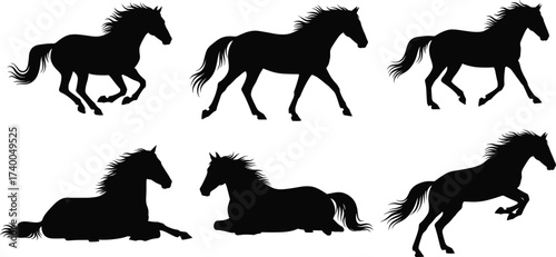Horse silhouette vector set with walking, lying, rearing poses for equine anatomy, nature themes, animal motion study, and design use