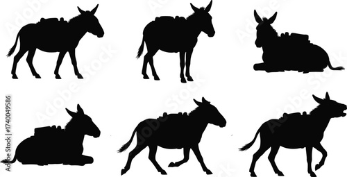 Donkey silhouettes carrying loads in various poses, pack animals vector set for transport, agriculture, rural life, and logistics themes