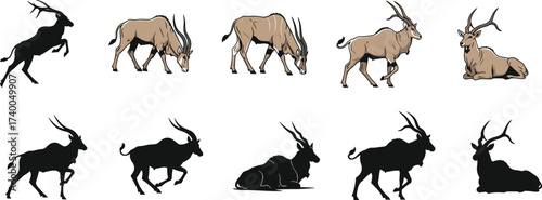 vector silhouettes of deer