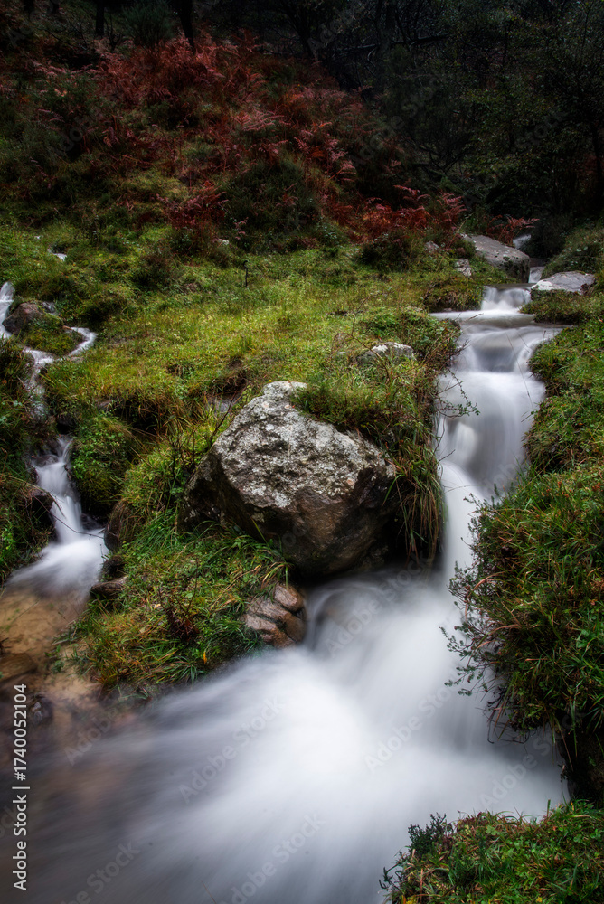 Fototapeta premium Ethereal long exposure of a stream in Gorbea Natural Park, Bizkaia, Spain, cascading over mossy rocks amidst lush, green woodland