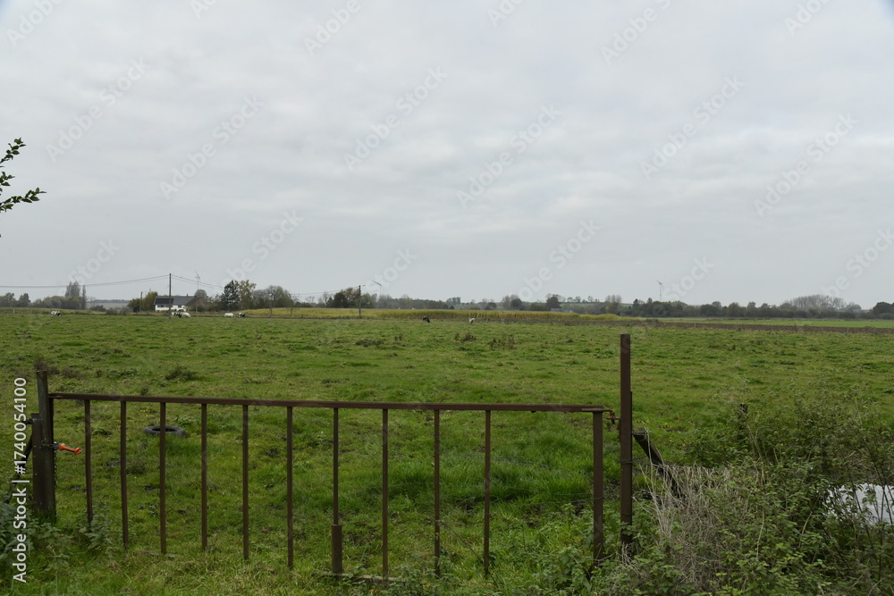 Fototapeta premium Ciel gris et pluie sur de vastes prairies en fin de journée d'automne à Ghislenghien (Ath)