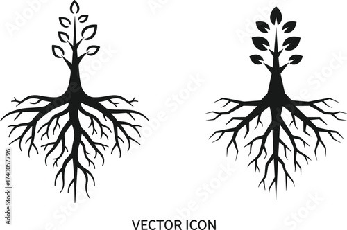 Tree root with leaves vector, black silhouette design, nature growth illustration, organic roots artwork, botanical element, natural tree roots symbol