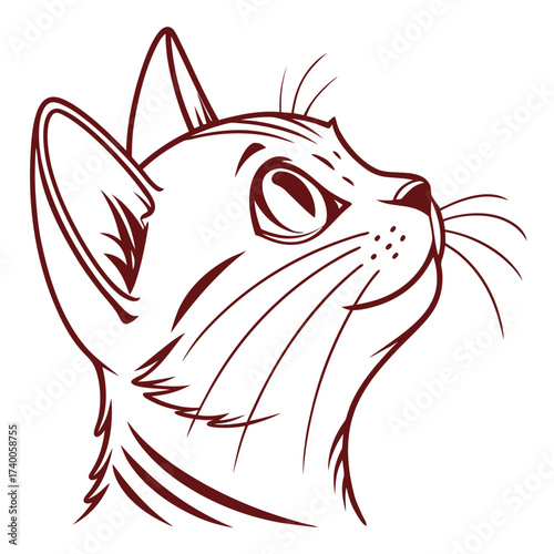 A line drawing of a cat looking up