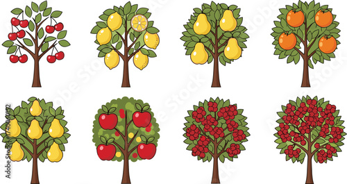 Fruit tree grid with cherry, lemon, pear, orange, apple, and berry trees for botanical, food, agriculture, and educational themes