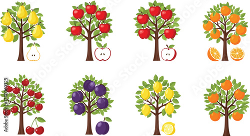 Fruit trees with matching sliced fruits including apple, pear, orange, cherry, plum, and lemon for education, food, and nature themes
