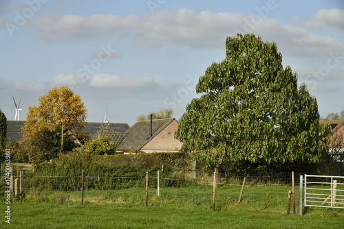 Fotografie Les arbres en automne entre les maisons à Ghislenghien (Ath)