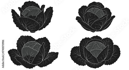 Four stylized black and white illustrations of leafy red cabbage heads