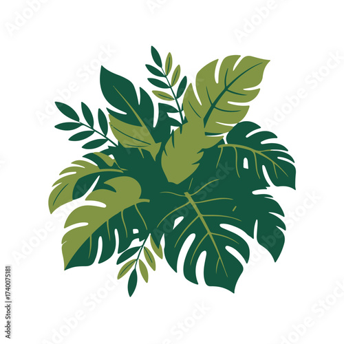 Arrangement of green tropical leaves isolated on white background