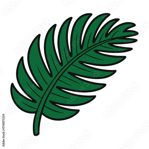A single green fern frond with a dark outline, isolated on a white background 