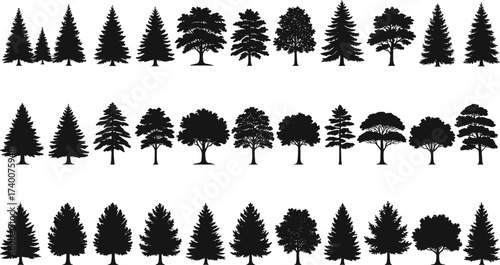 PrintCollection of pine and deciduous tree silhouettes, black vector forest elements, isolated nature icons, woodland illustration, landscape design, foliage graphic decoration