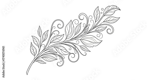 Elegant line art illustration of a decorative floral branch with swirling leaves and vines