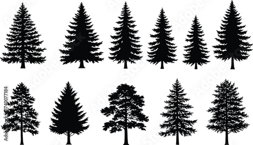 PrintEvergreen trees, pine, spruce, fir, cedar, conifer silhouettes, forest nature design, black vector illustration, woodland decoration, seasonal outdoor environment, landscape