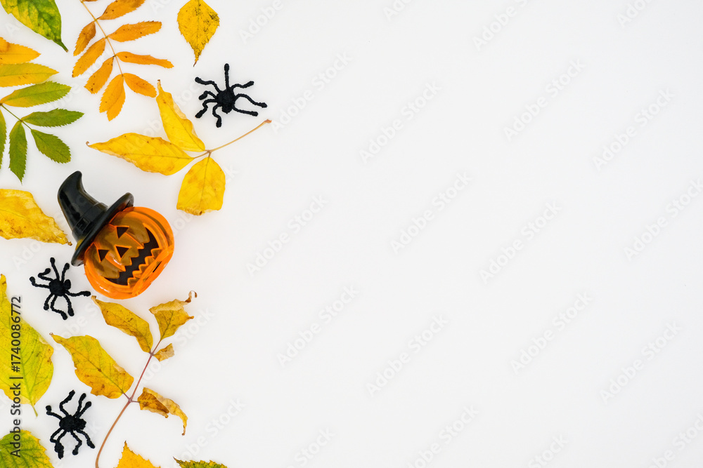 Obraz premium Horizontal Halloween banner with a Jack-o-lantern pumpkin, spiders and fall leaves on white background with place for text