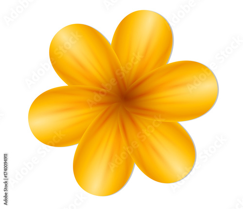 Elegant yellow flower blossom on black background image
